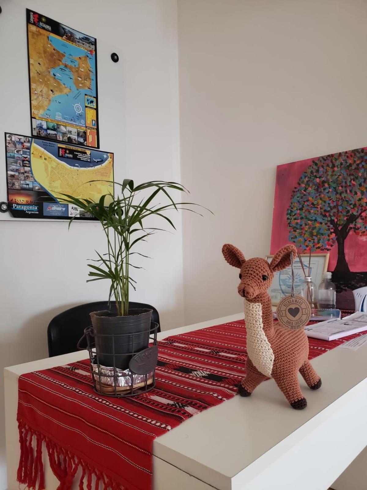 Guanaco Hostel Puerto Madryn Extérieur photo
